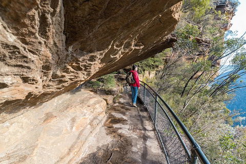 Blue Mountains Highlights & Wildlife Park - Lightning Ridge Tourism 0