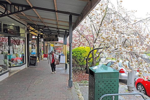 Blue Mountains Highlights & Wildlife Park - Lightning Ridge Tourism 2