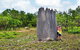 ETHICAL ADVENTURES - Dry Season Litchfield Region, Max 10 Guests - thumb 1