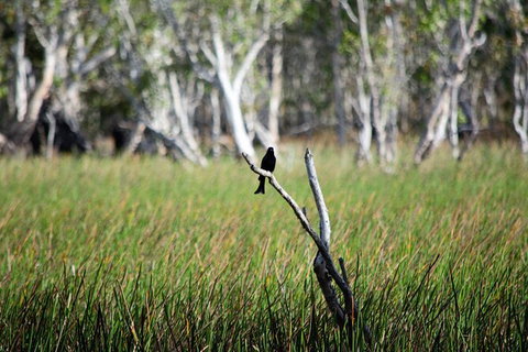 ETHICAL ADVENTURES - Dry Season Litchfield Region, Max 10 Guests - Lightning Ridge Tourism 2