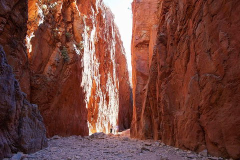 Best Of Alice Springs Full Day Tour - Lightning Ridge Tourism 6