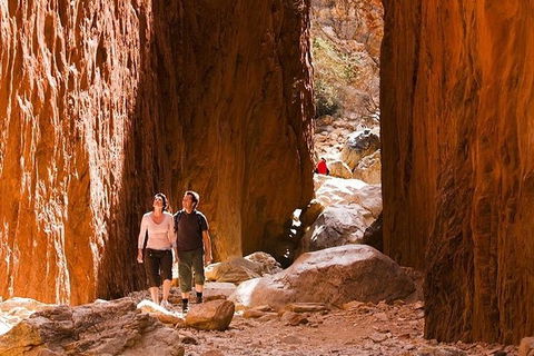 Alice Springs, Uluru Ayers Rock & Kings Canyon 8 Days Touring Package - Lightning Ridge Tourism 5