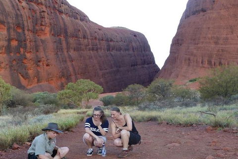 5-Hour Kata Tjuta Sunrise Tour From Ayers Rock With Breakfast - Lightning Ridge Tourism 3