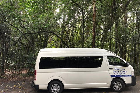 Springbrook And Mt Tamborine Adventure Tour - Bring The Kids!! - Lightning Ridge Tourism 7