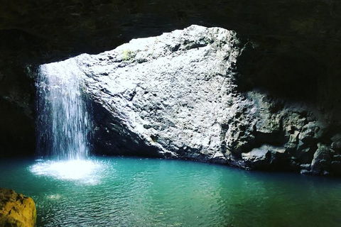 Springbrook And Mt Tamborine Adventure Tour - Bring The Kids!! - Lightning Ridge Tourism 2