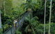 Springbrook And Mt Tamborine Adventure Tour - Bring The Kids!! - thumb 4
