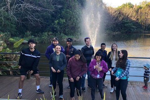 Springbrook And Mt Tamborine Adventure Tour - Bring The Kids!! - Lightning Ridge Tourism 12