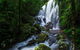 Springbrook And Mt Tamborine Adventure Tour - Bring The Kids!! - thumb 11