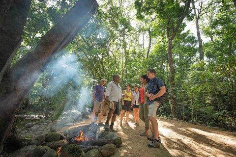 Aboriginal Cultural Daintree Rainforest Tour From Cairns Or Port Douglas - Lightning Ridge Tourism 3