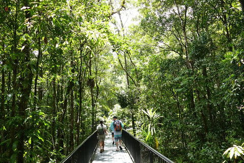 Aboriginal Cultural Daintree Rainforest Tour From Cairns Or Port Douglas - Lightning Ridge Tourism 4