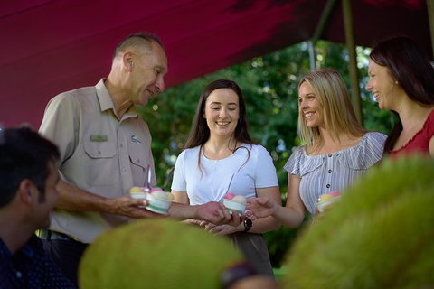 Daintree And Cape Tribulation Tour From Cairns - Lightning Ridge Tourism 1