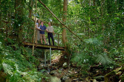 Daintree And Cape Tribulation Tour From Cairns - Lightning Ridge Tourism 3