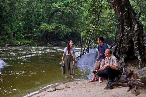 Daintree And Cape Tribulation Tour From Cairns - Lightning Ridge Tourism 2