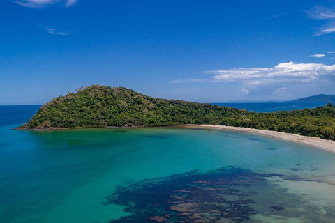 Daintree And Cape Tribulation Tour From Cairns - Lightning Ridge Tourism 7