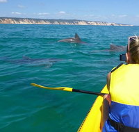 Kayak with Dolphins and 4WD Great Beach Drive Day Trip from Noosa - Lightning Ridge Tourism