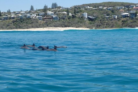 Noosa Thriller - 500hp Ocean Adventure Ride - Lightning Ridge Tourism 5
