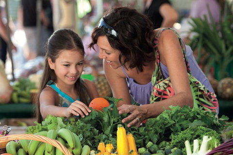 Sunshine Coast Eumundi Markets Return Minibus Transfer - Lightning Ridge Tourism 5