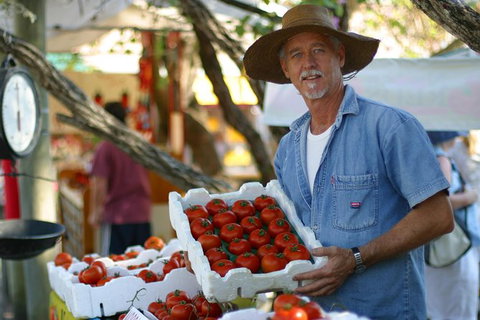 Sunshine Coast Eumundi Markets Return Minibus Transfer - Lightning Ridge Tourism 7