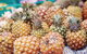 Sunshine Coast Eumundi Markets Return Minibus Transfer - thumb 8