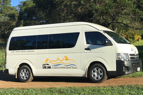 Sunshine Coast Eumundi Markets Return Minibus Transfer - Lightning Ridge Tourism 2