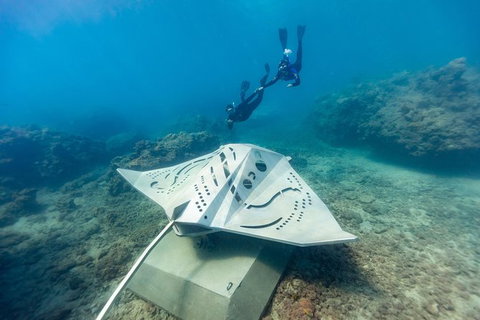 Private Standard Charter Experience In Whitsundays - Lightning Ridge Tourism 7
