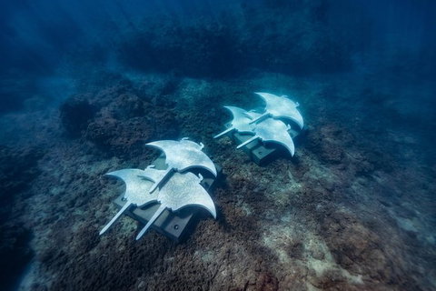 Private Standard Charter Experience In Whitsundays - Lightning Ridge Tourism 6