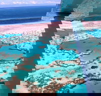 8-Day Cairns Tour Great Barrier Reef Kuranda Daintree Rainforest - Lightning Ridge Tourism