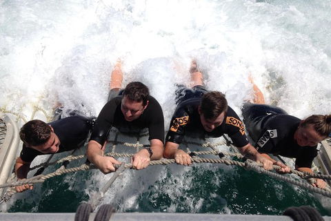 Eco Marine Safari - Boom Netting & Snorkeling Moreton Island - Roma St Transfers - Lightning Ridge Tourism 9
