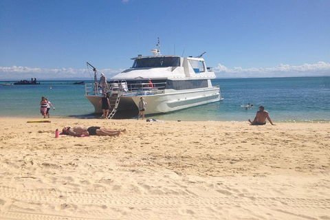 Eco Marine Safari - Boom Netting & Snorkeling Moreton Island - Roma St Transfers - Lightning Ridge Tourism 8