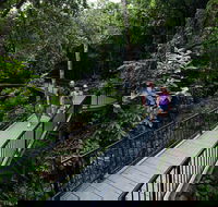 4-Day Cairns with Great Barrier Reef and Daintree Rainforest - Lightning Ridge Tourism