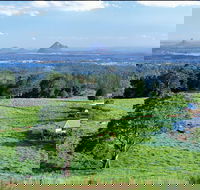 Full Day Sunshine Coast Hinterland Luxury Small Group Tour from Brisbane - Lightning Ridge Tourism
