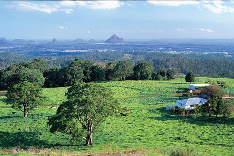 Full Day Sunshine Coast Hinterland Luxury Small Group Tour From Brisbane - Lightning Ridge Tourism 0
