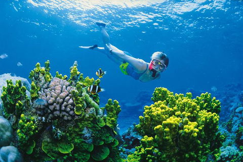 Full Day Snorkel In The Great Barrier Reef - Lightning Ridge Tourism 0