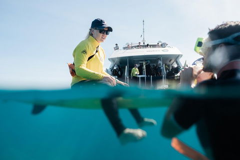 Full Day Snorkel In The Great Barrier Reef - Lightning Ridge Tourism 7