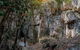Capricorn Caves Cathedral Cave Tour - thumb 8