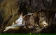 Capricorn Caves Cathedral Cave Tour - thumb 7