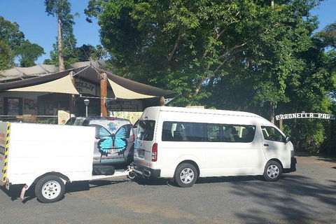 Airport Transfer To Or From Cairns Hotels For Up To 13 People (7am-10pm) - Lightning Ridge Tourism 3