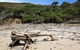 Tropical Beach Adventure - Private 4X4 Day Tour With Pickup - thumb 5