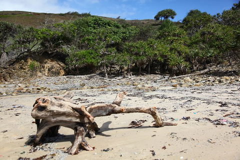 Tropical Beach Adventure - Private 4X4 Day Tour With Pickup - Lightning Ridge Tourism 5
