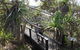 Tropical Beach Adventure - Private 4X4 Day Tour With Pickup - thumb 1