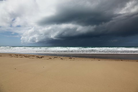 Tropical Beach Adventure - Private 4X4 Day Tour With Pickup - Lightning Ridge Tourism 9
