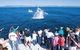 Gold Coast City Card (3 Days Card): Unlimited Attractions - thumb 6