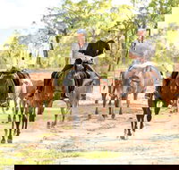 Ride the Outback at Ironbark House Dimbulah Horse Riding - Lightning Ridge Tourism