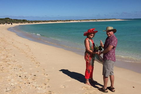 Elope In Paradise - Weddings At Mission Beach - Lightning Ridge Tourism 6
