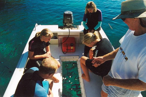 Great Barrier Reef Luxury Expedition Cruise Cabin Booking 7 Days 6 Night - Lightning Ridge Tourism 1