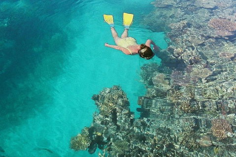 Great Barrier Reef Luxury Expedition Cruise Cabin Booking 7 Days 6 Night - Lightning Ridge Tourism 8