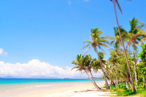 Airport Transfer - Cairns Airport To Mission Beach - Lightning Ridge Tourism 1