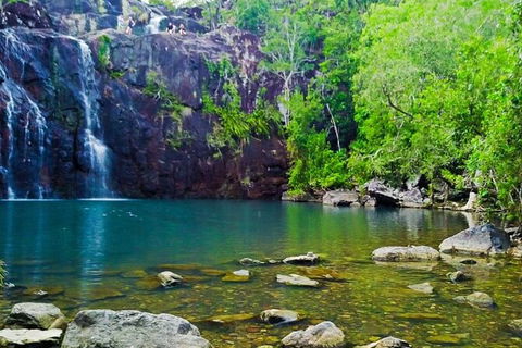 Reef, Wildlife & Rainforest - Reef & Beyond Guided Holidays - Lightning Ridge Tourism 0
