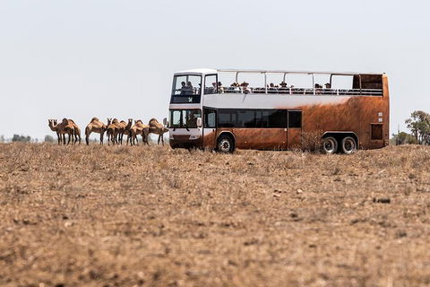 Nogo Station Experience - Lightning Ridge Tourism 0