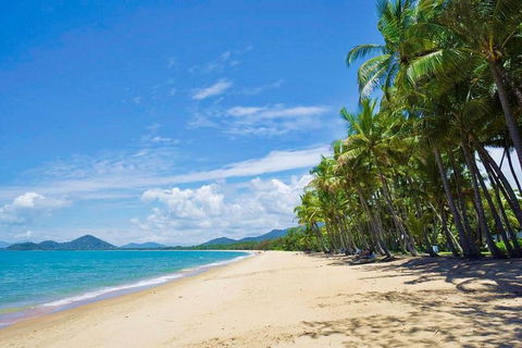 Airport Transfer - Cairns Airport To Palm Cove, Kewarra & Trinity Beaches - Lightning Ridge Tourism 4